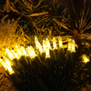 Warm White UL Certified M5 LED Christmas Lights