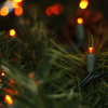 5MM Wide Angle Mini LED String Lights UL Orange Light Set Outdoor