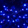 C6 Strawberry LED String Lights Blue Christmas String Light UL Waterproof