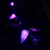 C6 Strawberry LED String Lights UL Purple Light Set