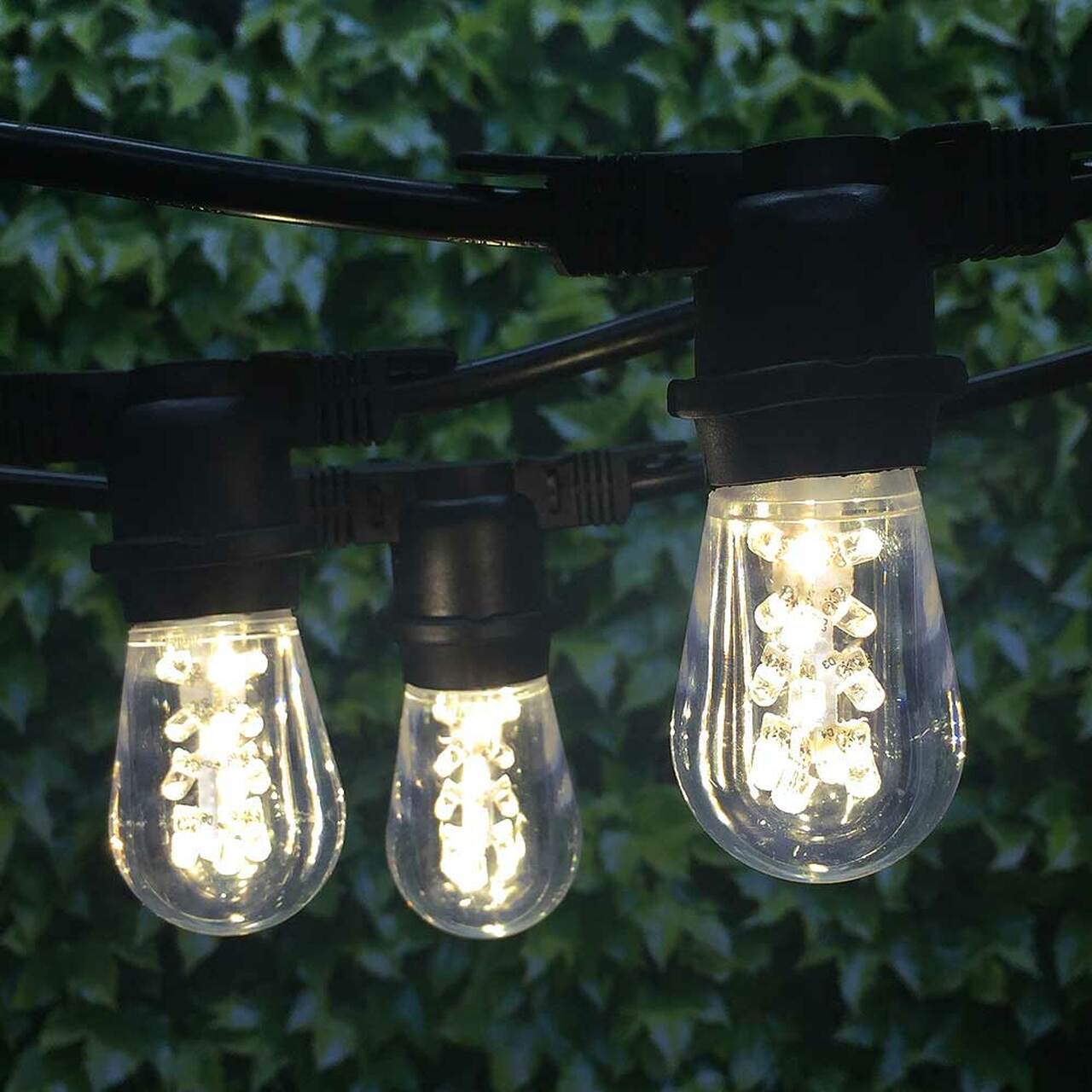 S14 E26 Glass LED Bulbs