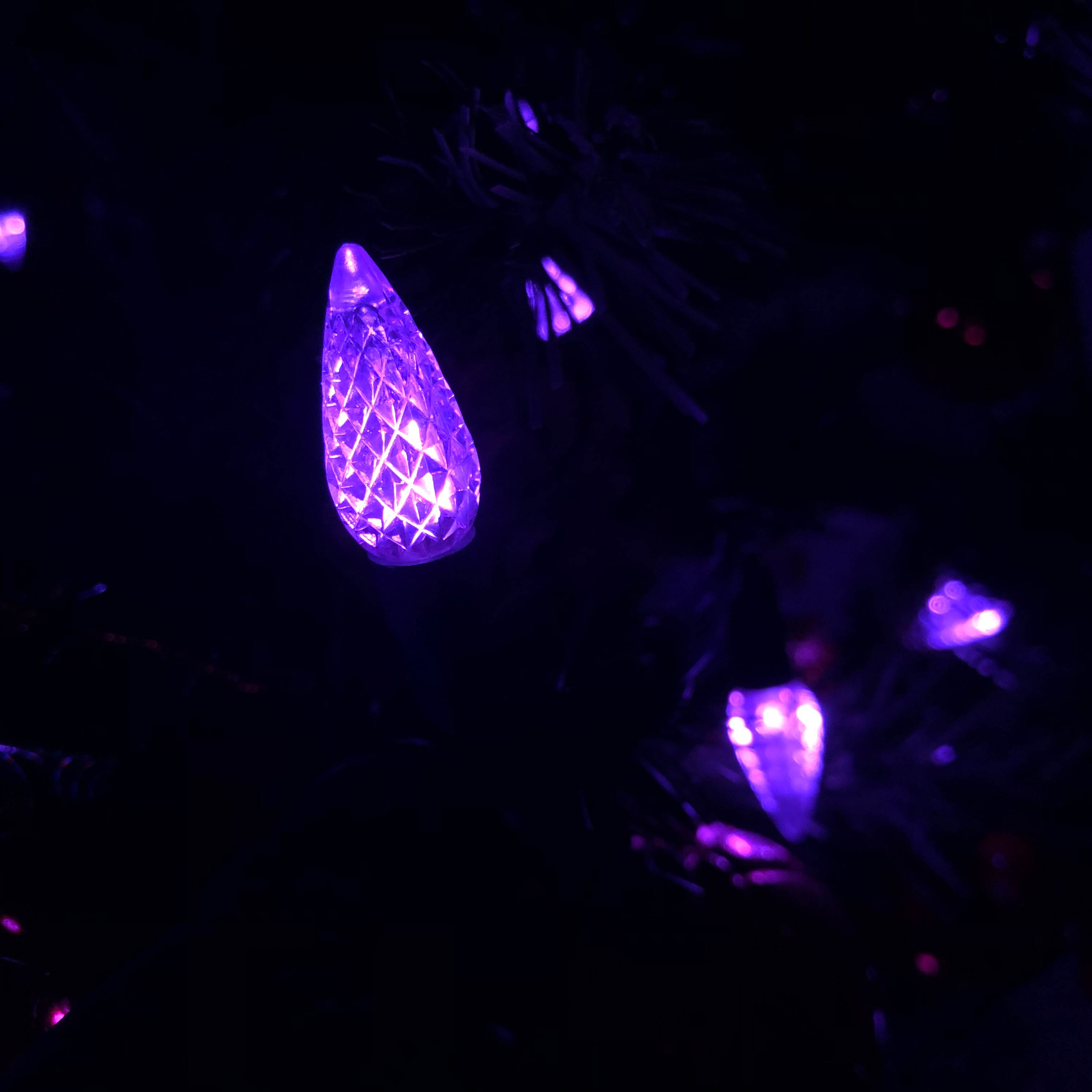 C6 Strawberry LED String Lights UL Purple Light Set