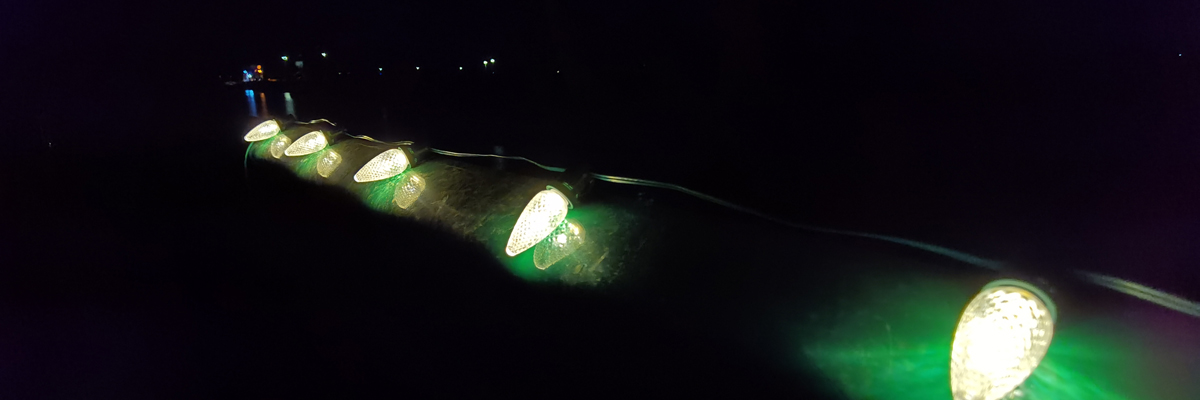 Patio Lights